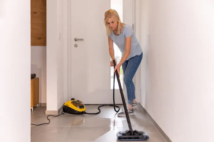 Power Steamer 915 E Wagner